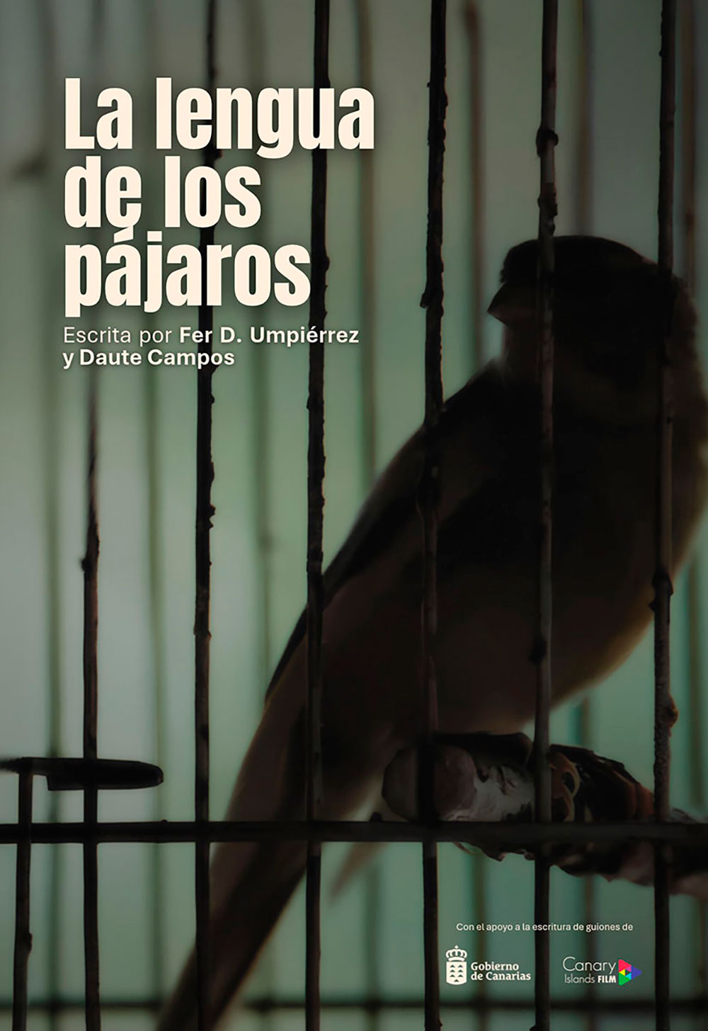 Cartel de La lengua de los pájaros